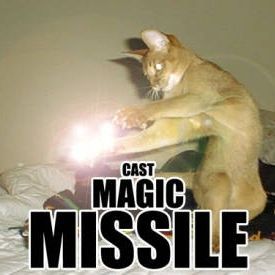 cast_magic_missile